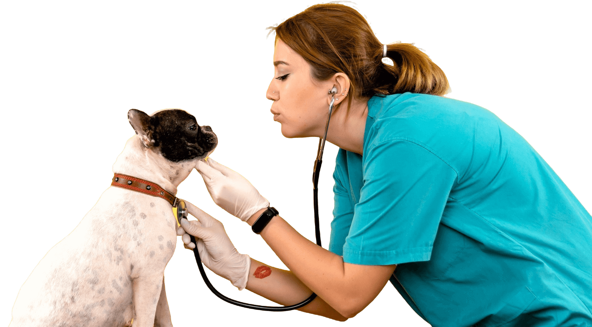 Visitas Regulares al Veterinario