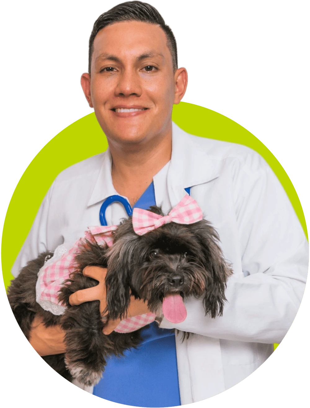 Visitas Regulares al Veterinario